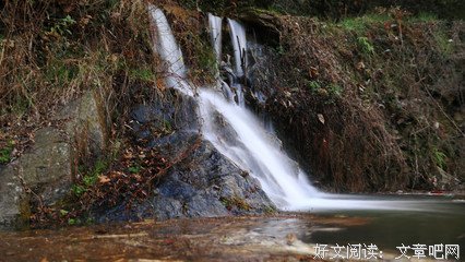 关于南派会只对起叔的名言