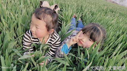 关于燕飞翔名言大全
