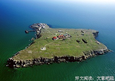 《庇护所》的影评大全