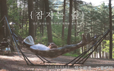 《沉睡的森林》影评精选