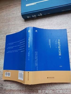 《卡拉马佐夫兄弟》读后感1000字