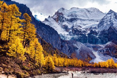 高山仰止的名人名言