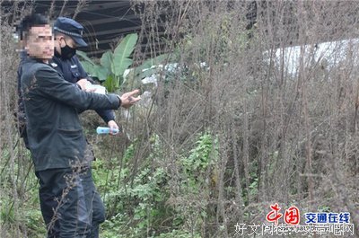 《犯罪现场》经典影评1000字