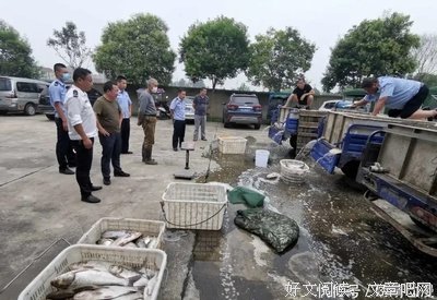 《犯罪现场》影评精选