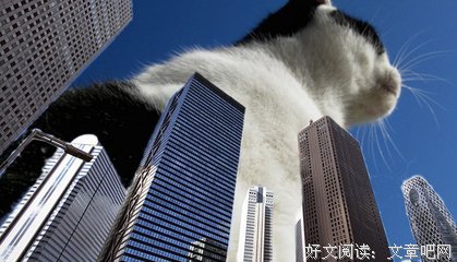 《馬可瓦多》读后感锦集