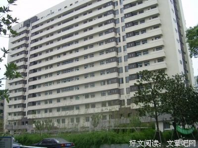 《第六病房》读后感100字