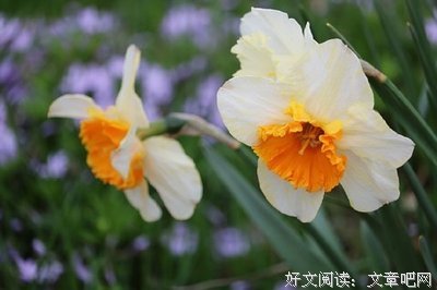 关于大浪淘沙的语句