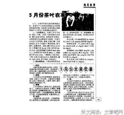 潘那还科象事不没经典的句子