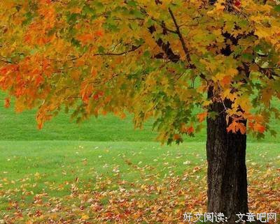 像个诗人一之心就