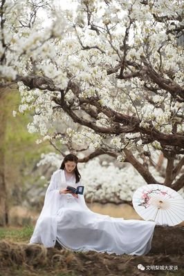 梨花殇的句子