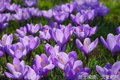 素质修养的优美句子