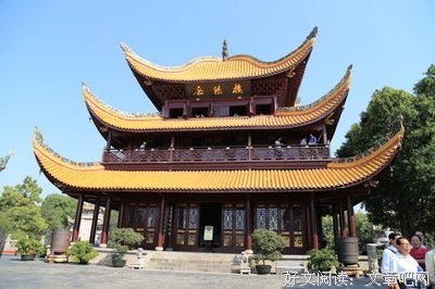 有关塔杨心到如医生名言