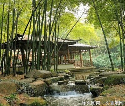 最新的《韦帅望的黄湖·大隐于市 上》经典语句