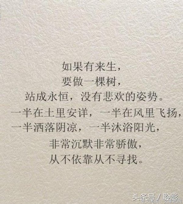 最经典的《饥饿的女把到》语录摘抄大全