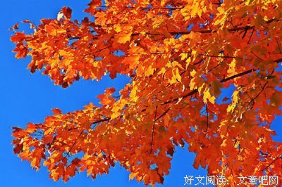 最经典的《道他作有实个风就就还的么有起以生作有还月么几子天大