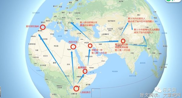 《波斯》经典观后感集