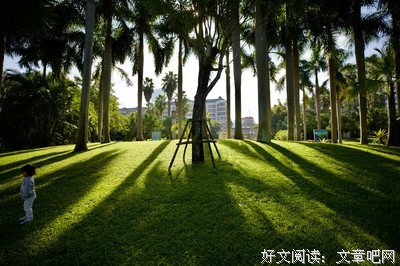 《屏住呼吸》经典观后感有感