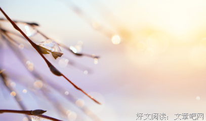 我妈抓小三，轰动全市。