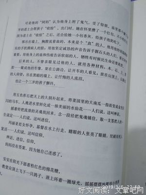美丽的约定读后感1000字