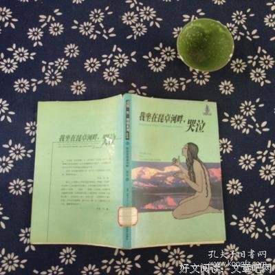 我坐在琵卓河畔，哭泣读后感摘抄