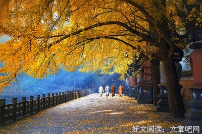 有关天南海北的美句摘抄