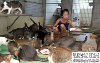 殺死99隻貓的少女的读后感大全