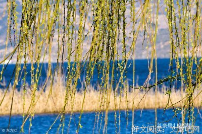 15条关于遗憾的经典语句