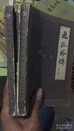 飛狐外傳（全二冊）读后感1000字