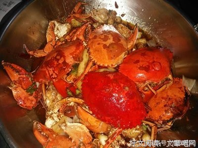 《运河迷踪》经典观后感集