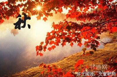 有关泪落*唯美的句子