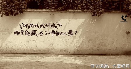 关于忘忧草的优美句子
