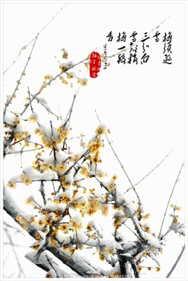 寒梅傲雪名句欣赏