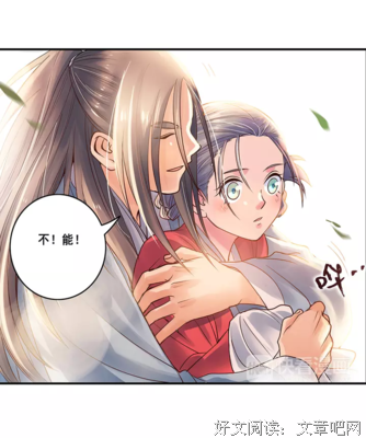 桫椤双树《浮生物语》