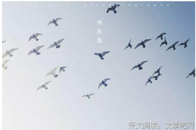 有关林徽因的句子