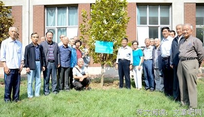 有关青春时光的句子