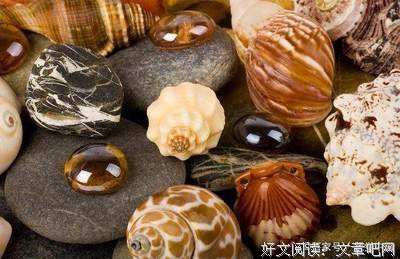 迷途经典的句子