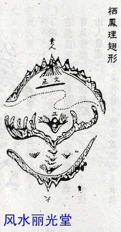 最全的《我口袋好开的星辰如沙砾》经典名句