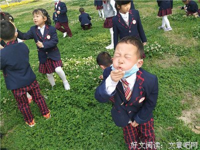 最全的《花朵的秘密生命》经典语句