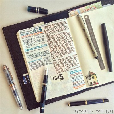 最经典的《爱如繁星》小说摘抄