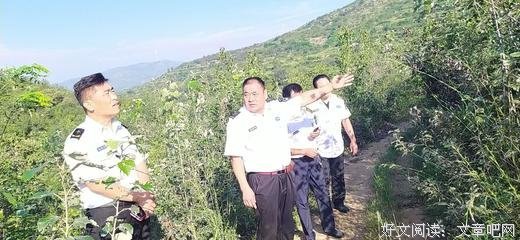 《万德镇》经典观后感集