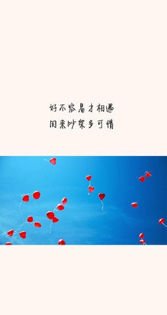 《若无相欠，怎会相见》的读后感大全