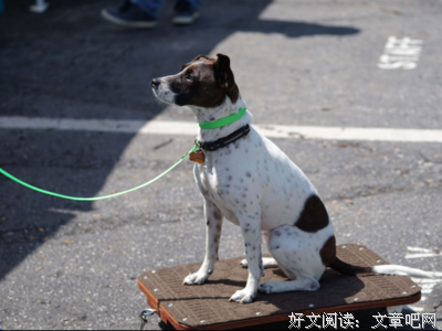 不好意思的名句_关于不好意思的名句