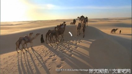 《中国的历史脉动》读后感精选