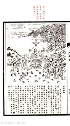 1Q84（全三册）读后感1000字