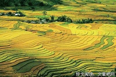 《慢慢走啊，去过美的人生》的读后感大全