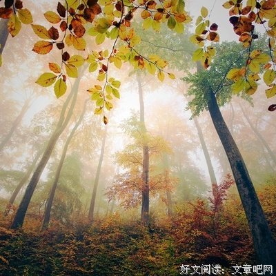 自以为是的语句摘抄_关于自以为是的语句