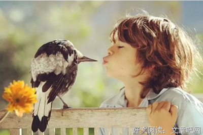 悲剧心理学经典读后感有感