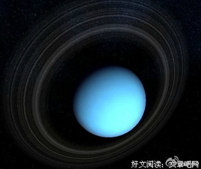 《逐爱的女人》的读后感大全