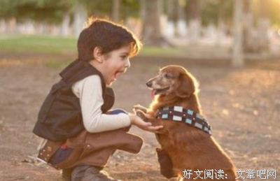 《说谎者雅各布》经典读后感有感