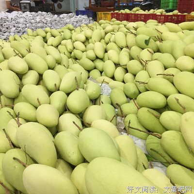 中国皇帝读后感锦集